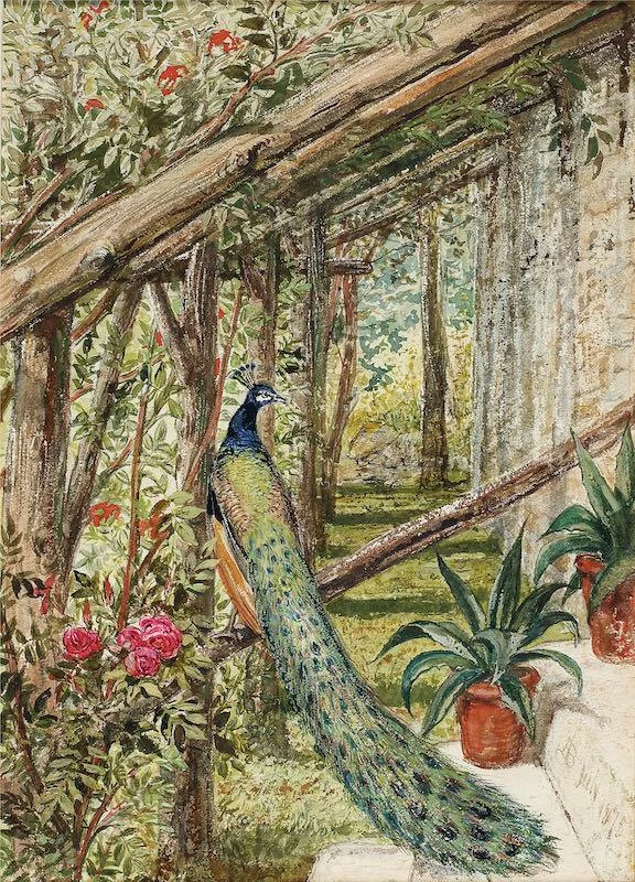 Alice Boyd - Steps to the Studio, Penkill