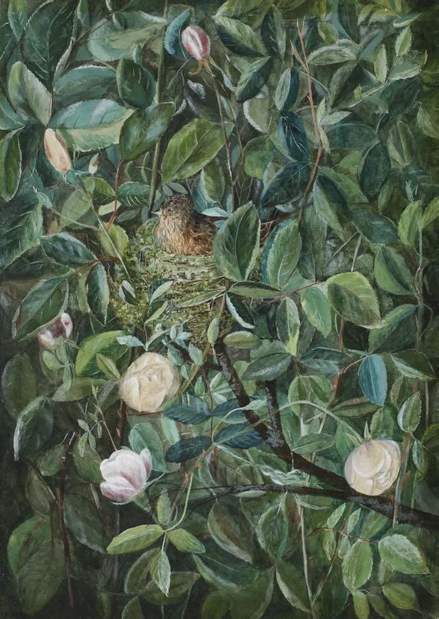 Fanny Vallance - Lilies and Linnet