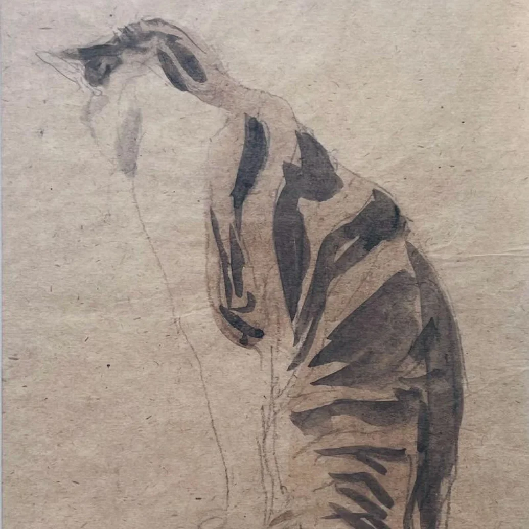 Portrait of Gwen John
