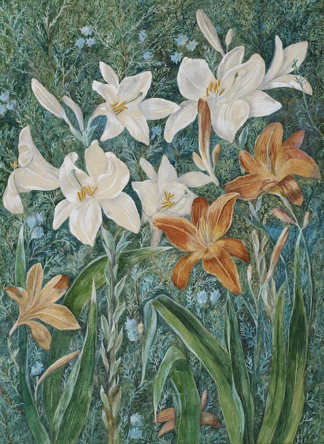 Fanny Vallance - Lilies and Linnet