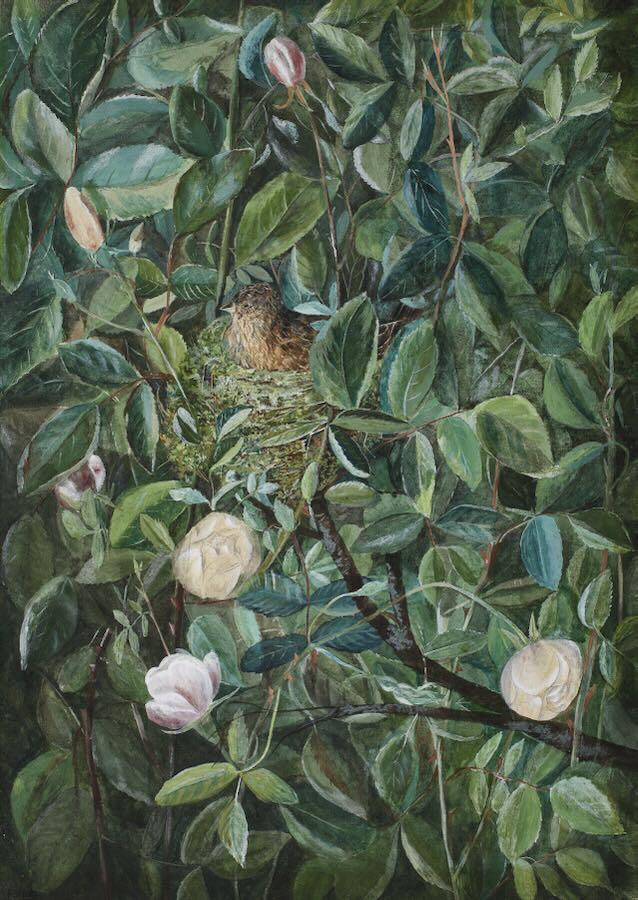 Fanny Vallance - Lilies and Linnet