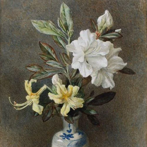 Helen Cordelia Angell
