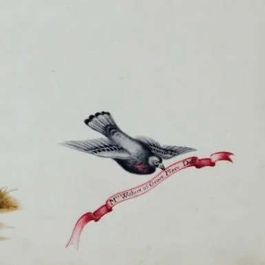 Mrs Augusta Innes Withers